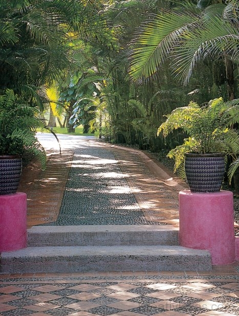 Pálmák és pinkre festett terrakotta oszlopok