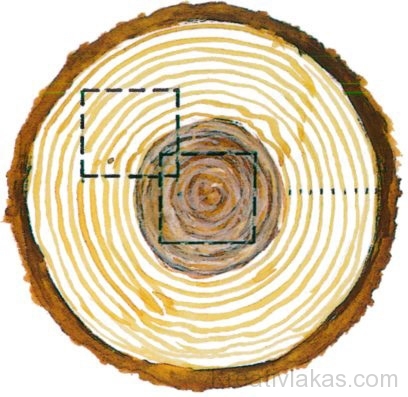 A fából készült szerkezet vagy tárgy tartóssága a fa fajtájától függ