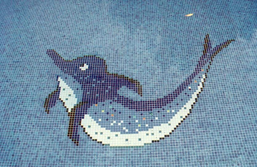 Delfint ábrázoló mozaik